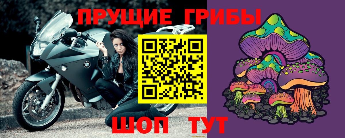 Псилоцибиновые грибы прущие грибы  Вход с VPN  Псилоцибиновые грибы Magic Shrooms  Камышлов 